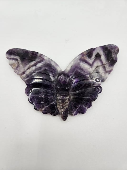 Dream "Chevron" Amethyst Butterfly