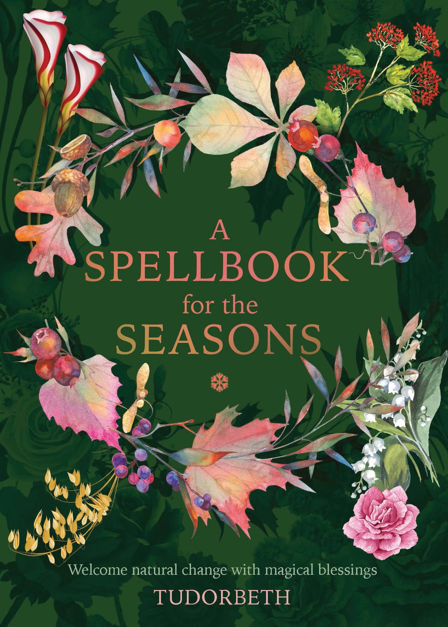 A Spellbook for the Seasons (Hardcover, Full Color Illust.)